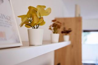 hygge-flats Apartment für 2-6, WLAN, Homeoffice - 1