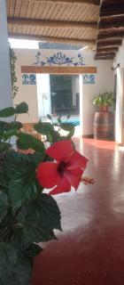 Punto Sur Lodge - Chincha - Chincha Alta - 1