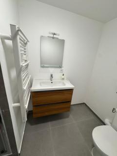 Grand T2 rénové Cœur de St-Priest Avec Parking - Saint-Priest - 4