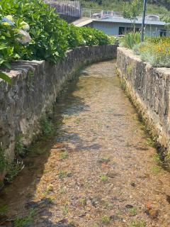 Nature & Family Guesthouse - Louredo - 1