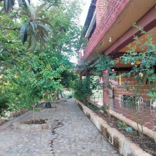 Casa Pini - - 4