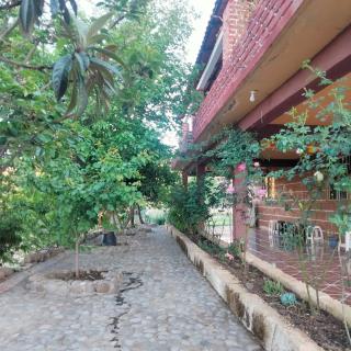Casa Pini - - 2