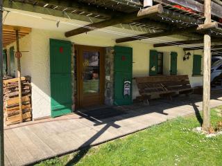 Appartement 2 pièces, 5 min du téléphérique Avoriaz, navette gratuite, parking, jardin, services inclus - FR-1-754-41 - 1