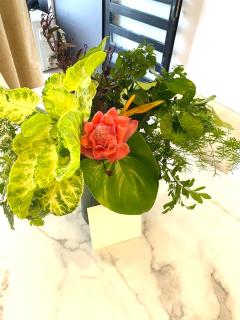 Appartements Skyline Lomé - 6