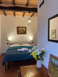 Villa Mucellena - Casole d'Elsa - 1