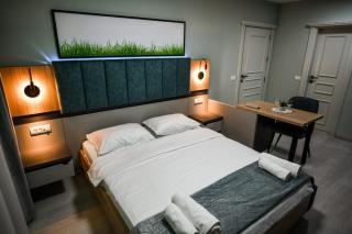 Baile Figa spa Cazare - Agrişu de Sus - 1