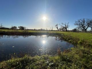 Four Bedroom House With Private Pool - Stunning countryside location with parking close to Chester City Centre - Chester - 1