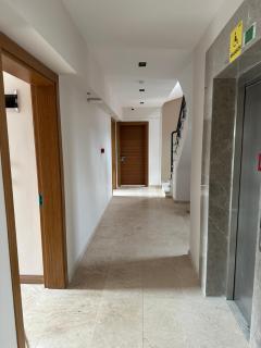 Grape Hotel - Ezine - 2