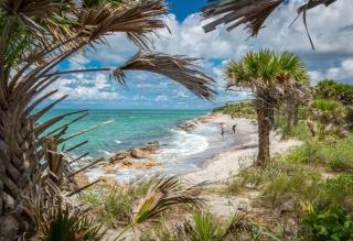 1BR Venice home with private beach access - Golden Beach Haven - 7