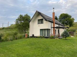 Cabana Șirnea - Şirnea - 9