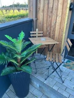 Suite LIANA - SPA- SAUNA - Rorschwihr - 7