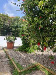 Cascais, T2 with great garden in Estoril, Livramento - Estoril - 3