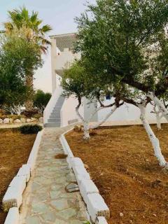 STAVROS STUDIOS - Logaras - 6