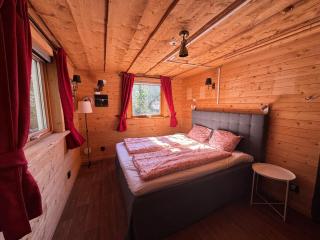 Forest nest - Sävsjöström - 9
