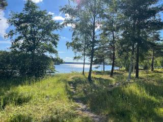Forest nest - Sävsjöström - 2