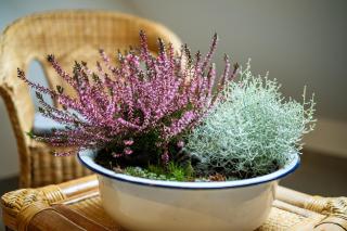 Elsternest - Ferienwohnungen mit Sauna & Ostereierwerkstatt - Elsterheide - 9