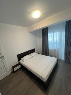 Sunny Accommodation Suceava - Suceava - 7