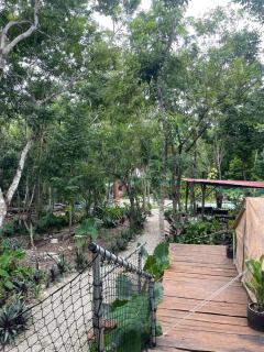 Cozumel Glamping - 4