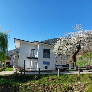 Villa Elisabetta - Pergine Valsugana - 6