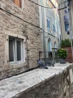 Julija Palace - 3