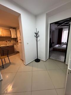 Cozy Tampa Apartments 2 - Braşov - 6