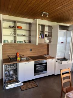 APARTAMENT ROSY - Interlaken - 7