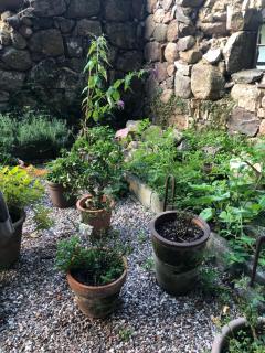 Idyllisk bolig i skoven - 1