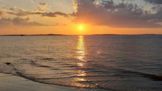 The Pelican House by Tybee Beach Vacation Rentals - Tybee Island - 3