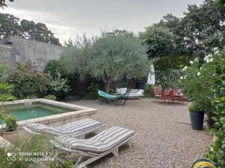 Les trois ifs - Villeneuve-lès-Avignon - 9