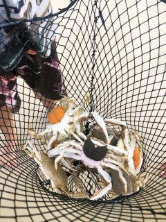 Apartment 3 - Rota das Dunas - 8