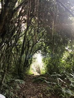 Apartment 3 - Rota das Dunas - 5