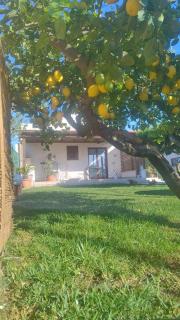 Brezza di Stagnone - 8