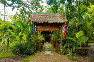 Tronco Tambopata Adventure - 5