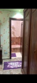 ميامي الاسكندريه - 3