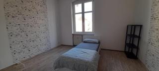 Beautiful apartment for 5-7 guests - Zeitz - 5