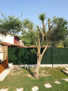 Warm house close to all amenities - Tarnos - 9