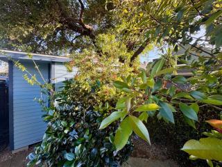 Charming Studio Cabin under Oak tree 2 mins walk to Magazine quiet neighborhood - Nueva Orleans - 1