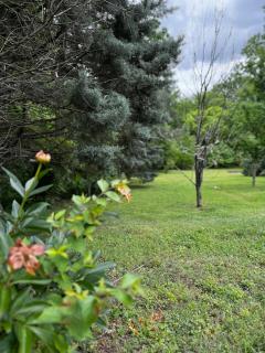 Charming Home In A Historic Quiet Nashville Haven - 8