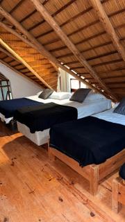 Casa a 2 cuadras mar Hasta 14 personas - Punta del Este - 9
