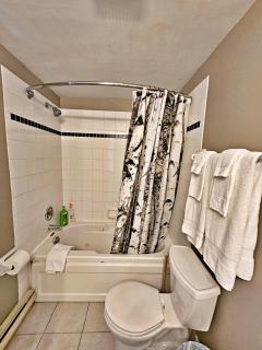Hillside One Bedroom with Unobstructed Mountain Views, Full Kitchen - Blue Mountains - 8