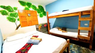 Casa Gloria Hostal - Bonda - 7