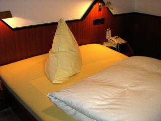 Hotel Restaurant Bären - Freudenstadt - 7