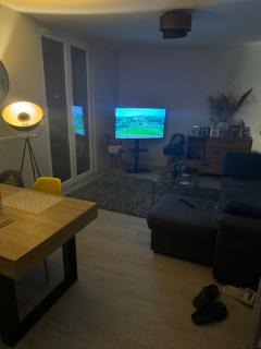 Beautiful appartement near 24h du Mans !!! - Le Mans - 6