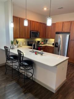 Houston Luxury 1BR-3BD-Pool-Gym - 0