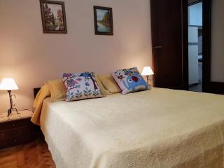 Apartment in Congreso near Favaloro Hospital - Buenos Aires - 0