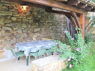 Location paisible proche de Belvès, animaux admis, terrasse - FR-1-616-147 - 8