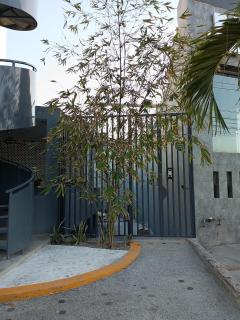 Casa ZeRo - Manzanillo - 5