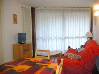 2 pièces au pied des pistes - 6 pers, balcon, cuisine équipée - FR-1-689-152 - Villard-de-Lans - 0