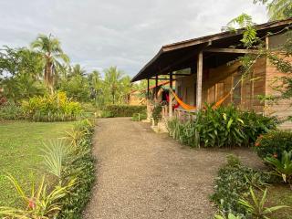 Sonona jovi - Nuquí - 1