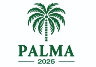 Palma Resort - 8